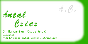 antal csics business card